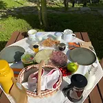 Glamping Istria Tiny Alpstuga