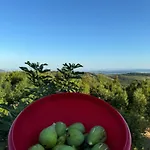 Alpstuga Glamping Istria Tiny