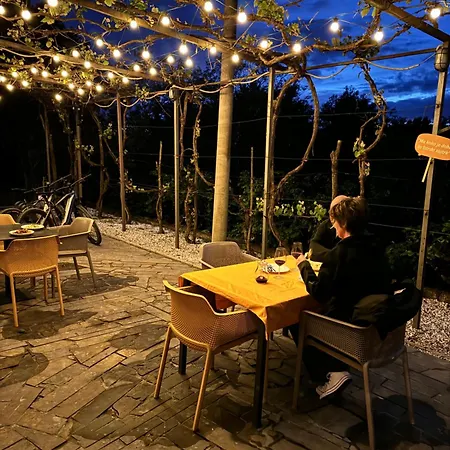 Glamping Istria Tiny Chalet *