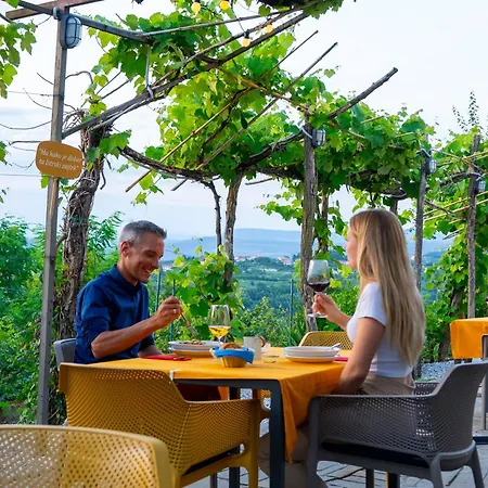 Glamping Istria Tiny Alpehytte