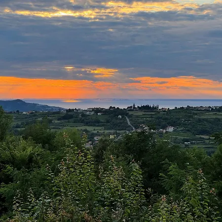 Glamping Istria Tiny Alpehytte