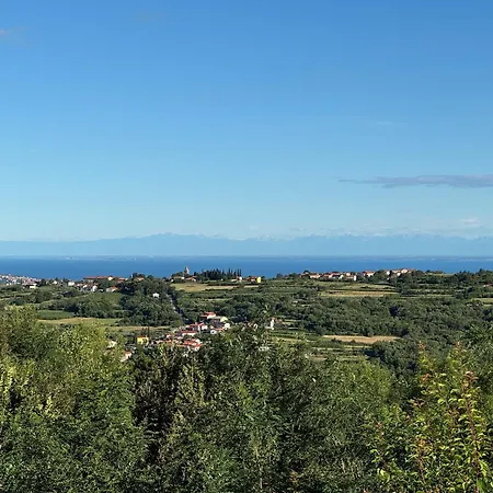 Glamping Istria Tiny Truske