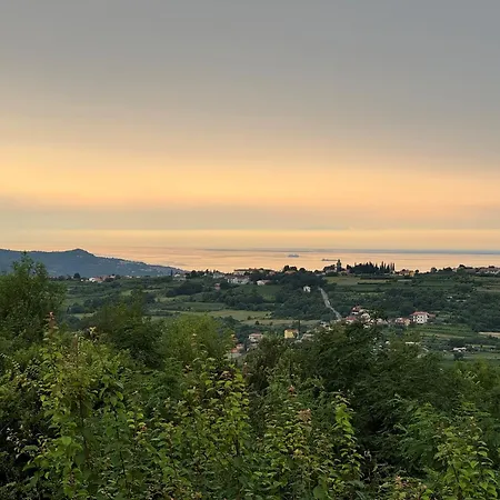 Glamping Istria Tiny Chalet Truske