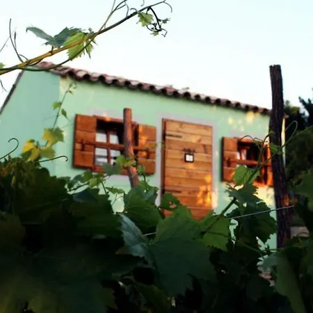 Glamping Istria Tiny Truske