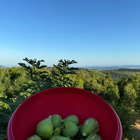 木屋 Glamping Istria Tiny