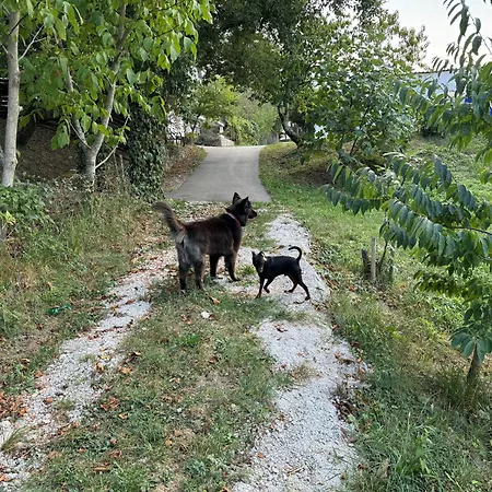 Chalé Glamping Istria Tiny Truške