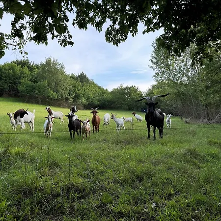 Glamping Istria Tiny *