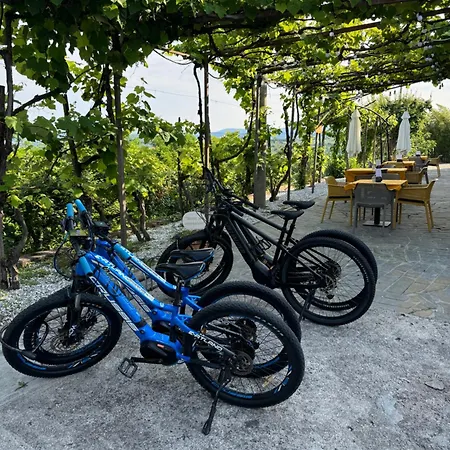 Glamping & Istria * Marezige