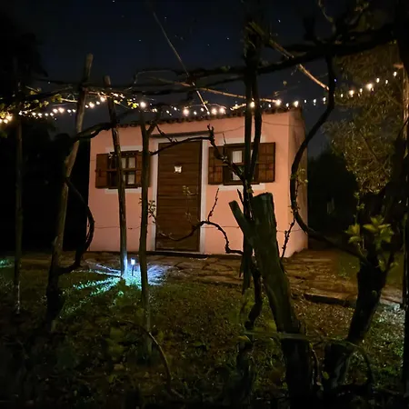 Glamping Istria Tiny Σαλέ Truške