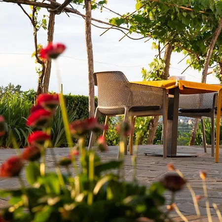 Glamping Istria Tiny Chalet