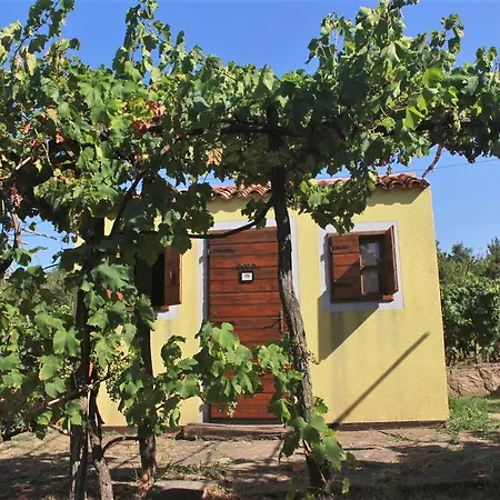 Glamping & Istria * Marezige