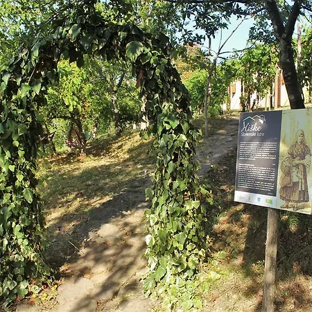 Glamping Istria Tiny 木屋 *