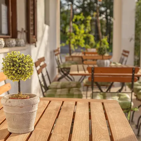 Glamping & Istria