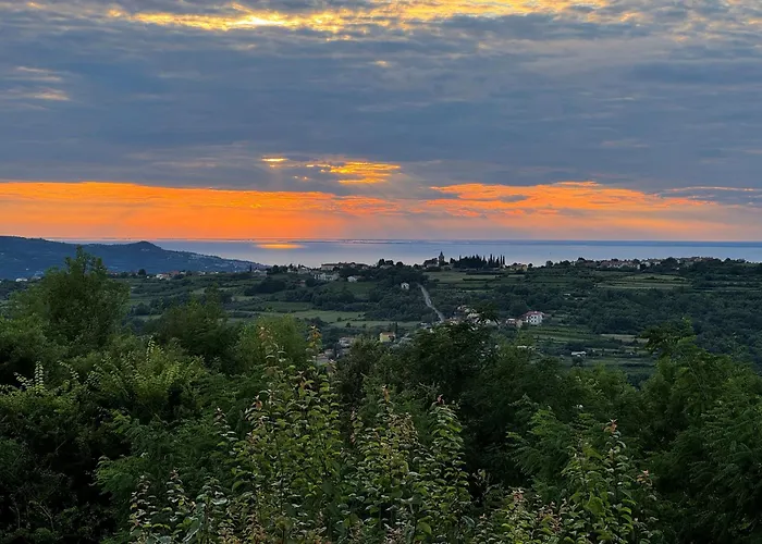 Glamping Istria Tiny Chalet