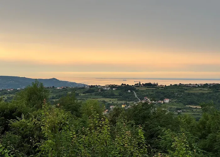 Glamping Istria Tiny Chalé Truške