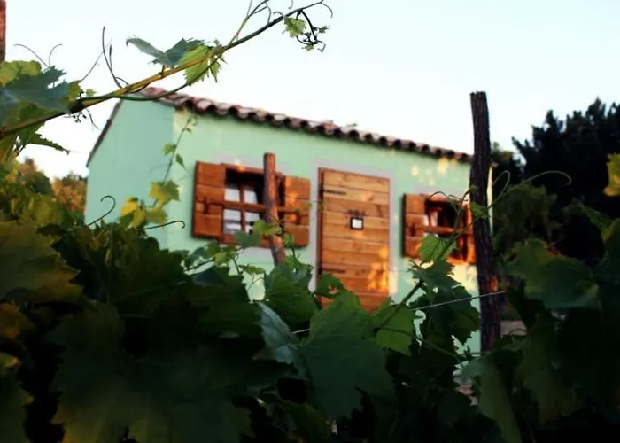 Glamping Istria Tiny Truške