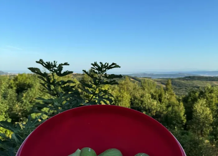 Chalé Glamping Istria Tiny