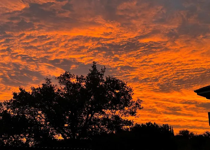 Glamping Istria Tiny Chalé