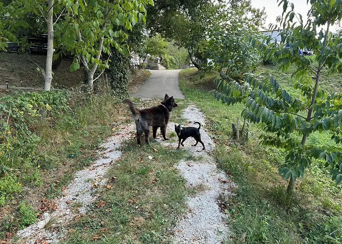 Chalet Glamping Istria Tiny Truške