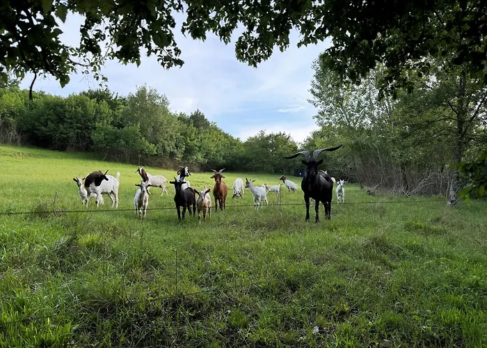 Glamping Istria Tiny *