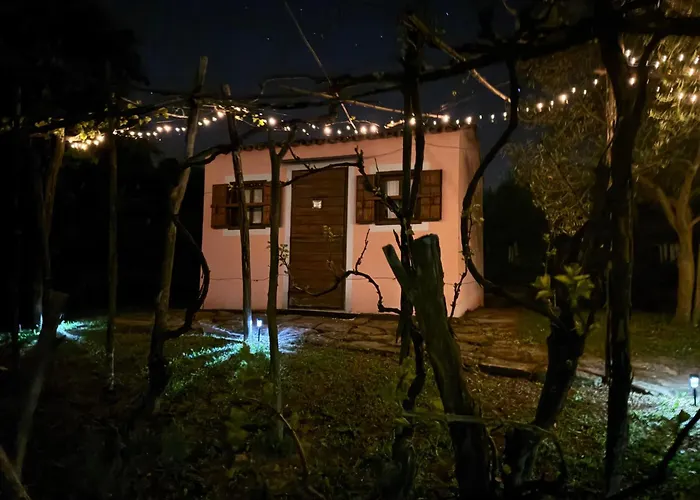 Glamping Istria Tiny Chalé Truške