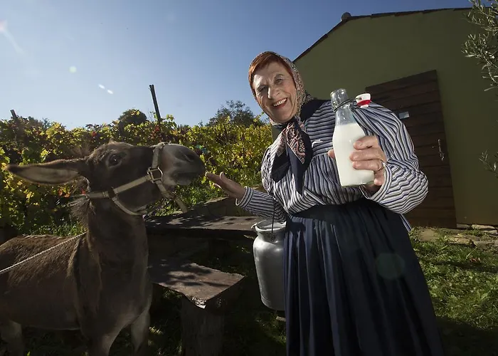 Chalé Glamping Istria Tiny *