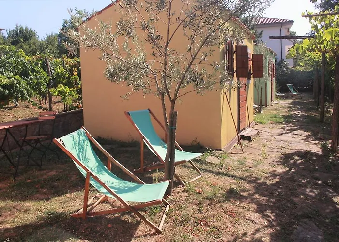 Glamping Istria Tiny Chalet Truške