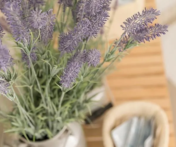 Glamping Istria Tiny